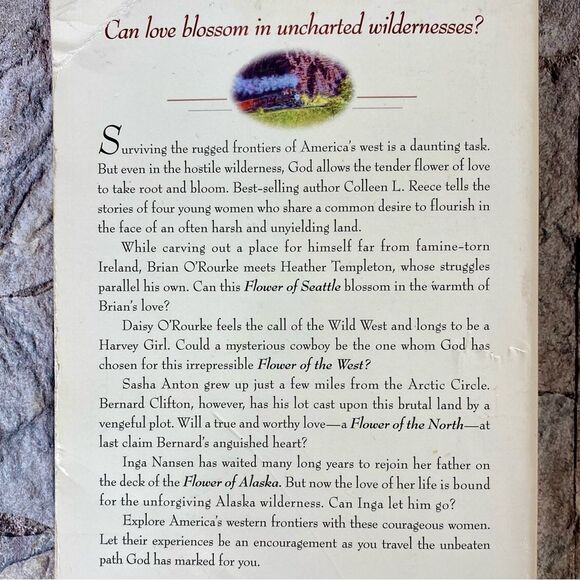 Love and Romance Collection Novels Paperback Book Bundles Set of 3 Book Sale - Picture 6 of 9